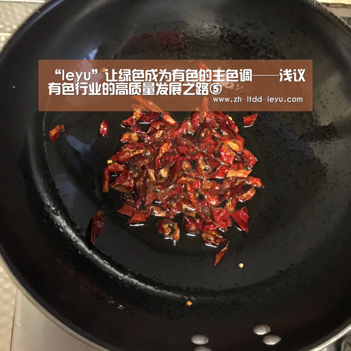 “leyu”让绿色成为有色的主色调——浅议有色行业的高质量发展之路⑤