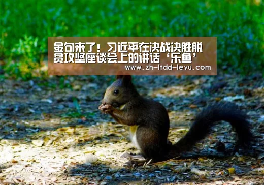 金句来了！习近平在决战决胜脱贫攻坚座谈会上的讲话‘乐鱼’