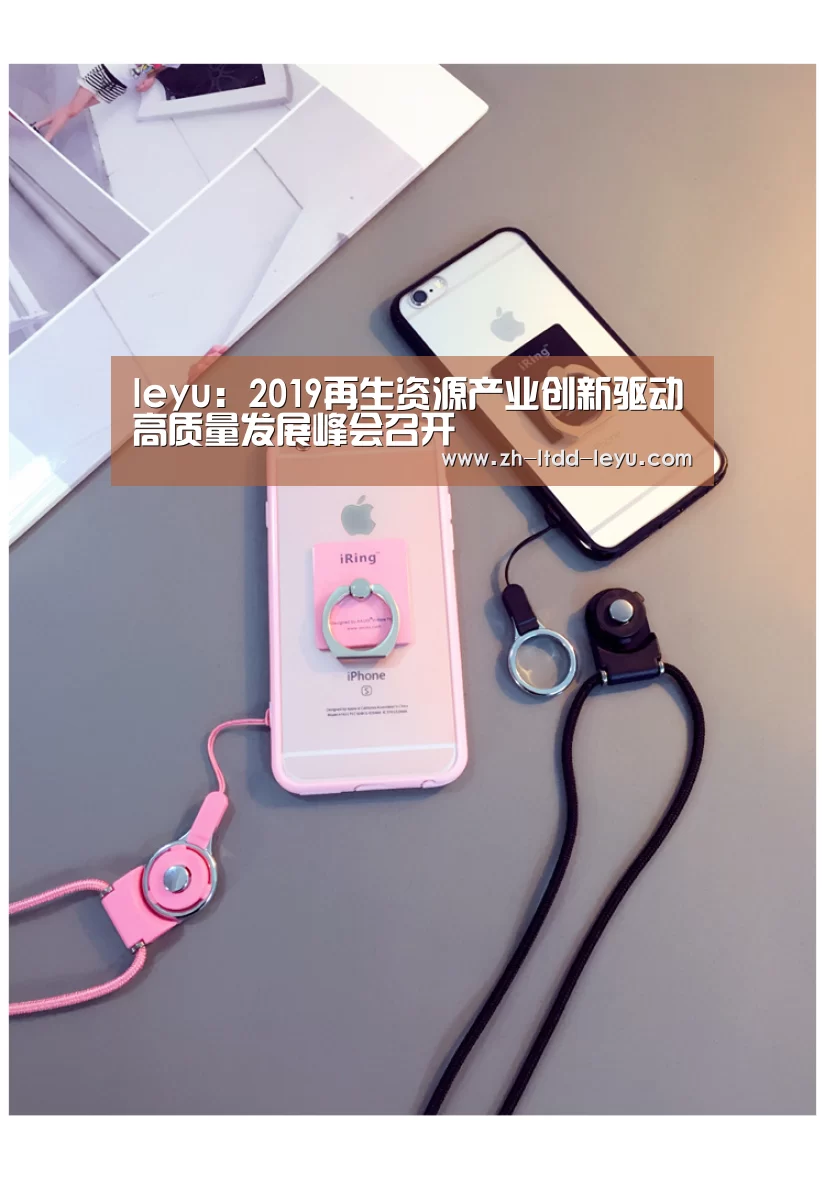 leyu:2019再生资源产业创新驱动高质量发展峰会召开(图2) 乐鱼体育