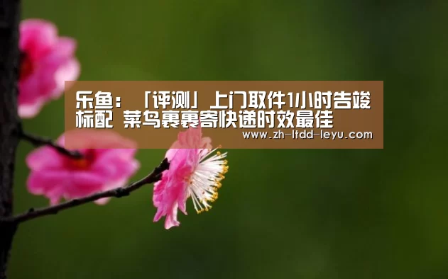 乐鱼：「评测」上门取件1小时告竣标配 菜鸟裹裹寄快递时效最佳