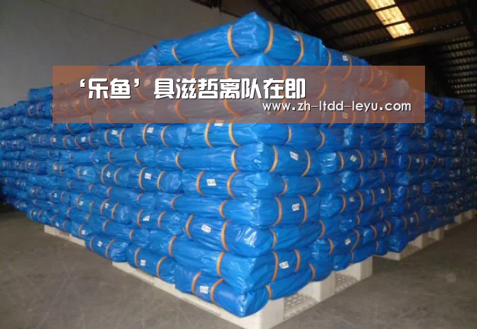 ‘乐鱼’具滋哲离队在即