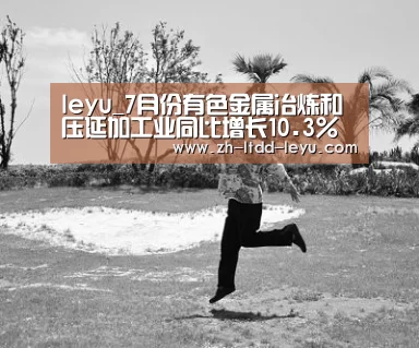 leyu_7月份有色金属冶炼和压延加工业同比增长10.3%(图2) 乐鱼体育