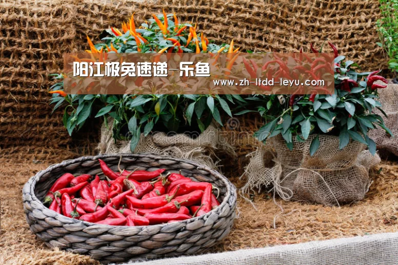 阳江极兔速递-乐鱼