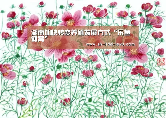 湖南加快转变养殖发展方式“乐鱼体育”