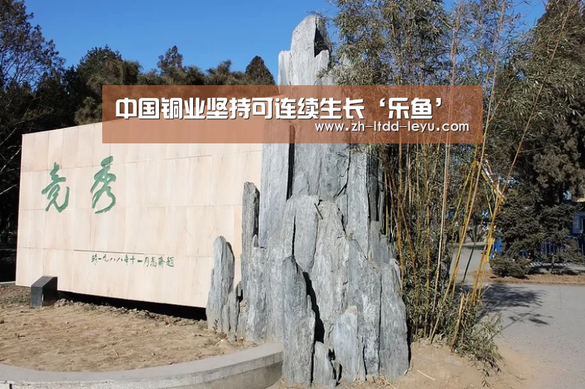 中国铜业坚持可连续生长‘乐鱼’(图2)
中国铜业坚持可连续生长‘乐鱼’(图2)
